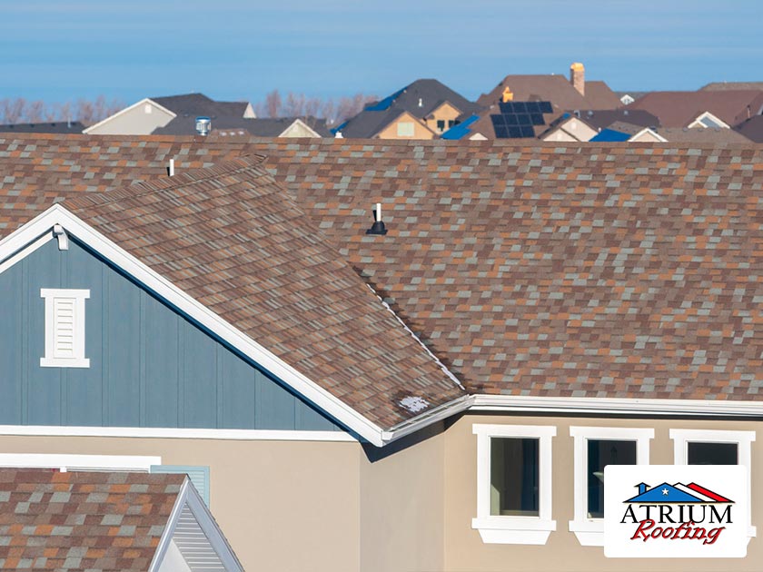 Shingle Roof Maintenance